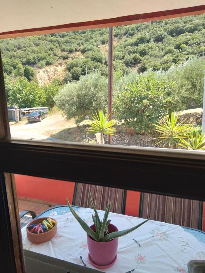 Maisonette Maria-for tranquility Sykia Chalkidikis Esterno foto